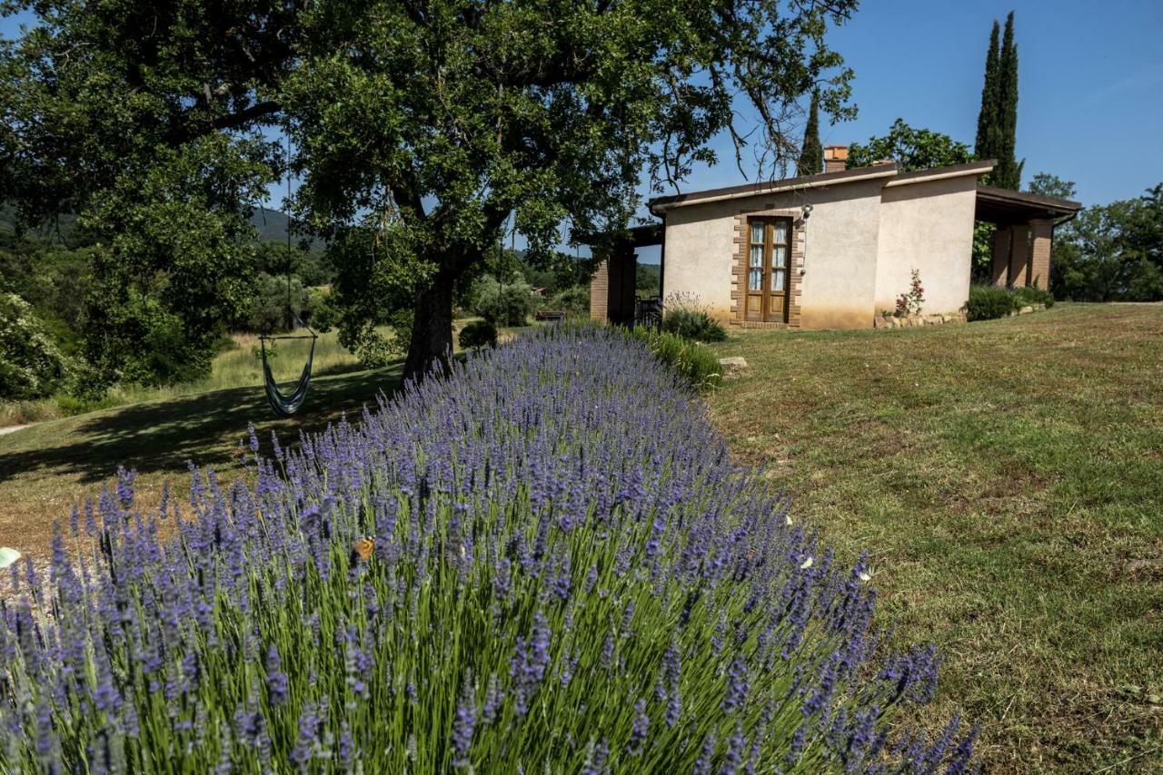 Agriturismo Belvedere Di Pierini E Brugi Campagnatico Exterior photo